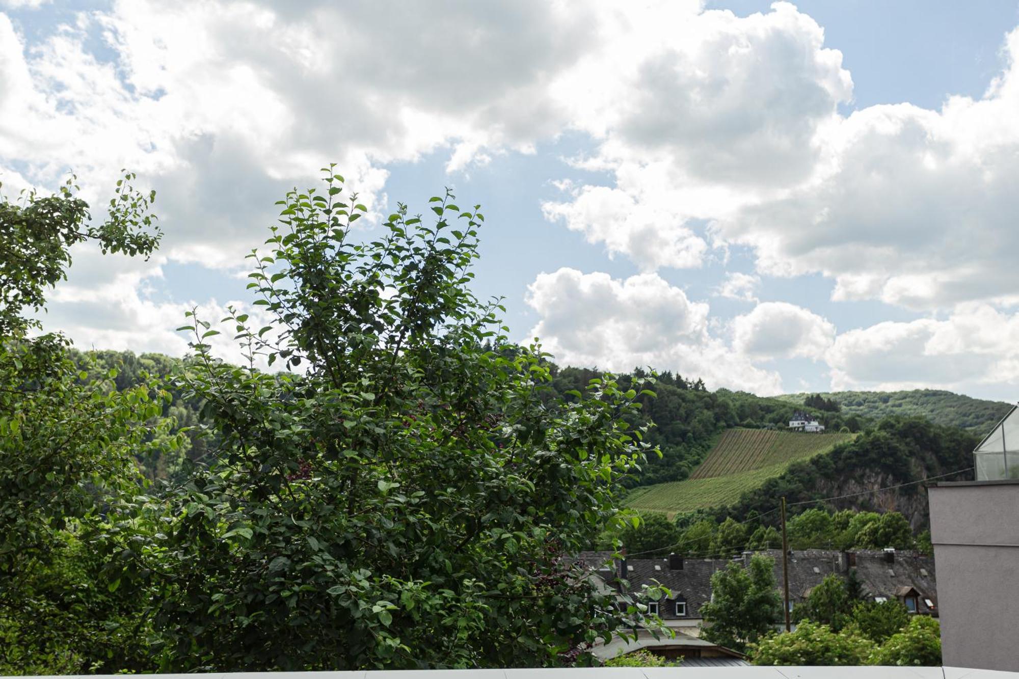 Luxusferienwohnung Moselruhe Bullay Mit Grosser Terrasse Und Schoenem Ausblick Kültér fotó